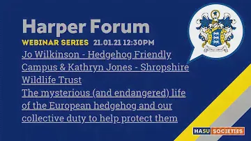 Harper Forum - The mysterious life of the European hedgehog and our collective duty to protect them